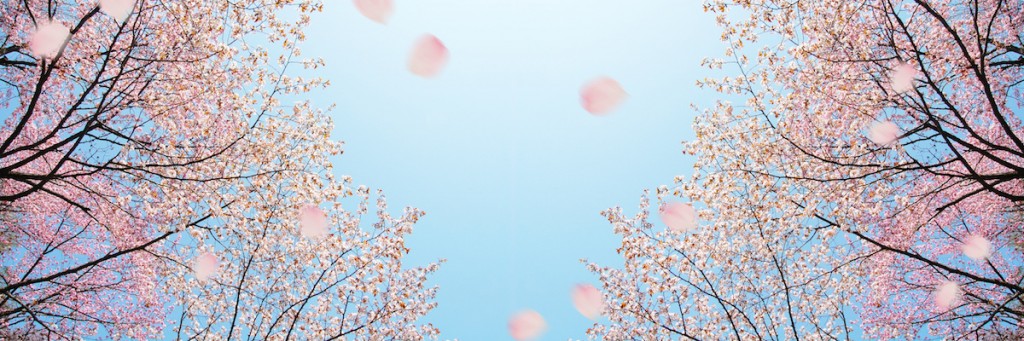 Les mots de l&rsquo;être-bien d&rsquo;un&nbsp;lecteur…